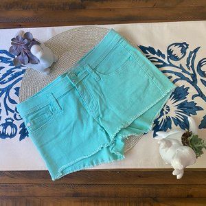 Roxy Mint Green Denim Shorts NWOT